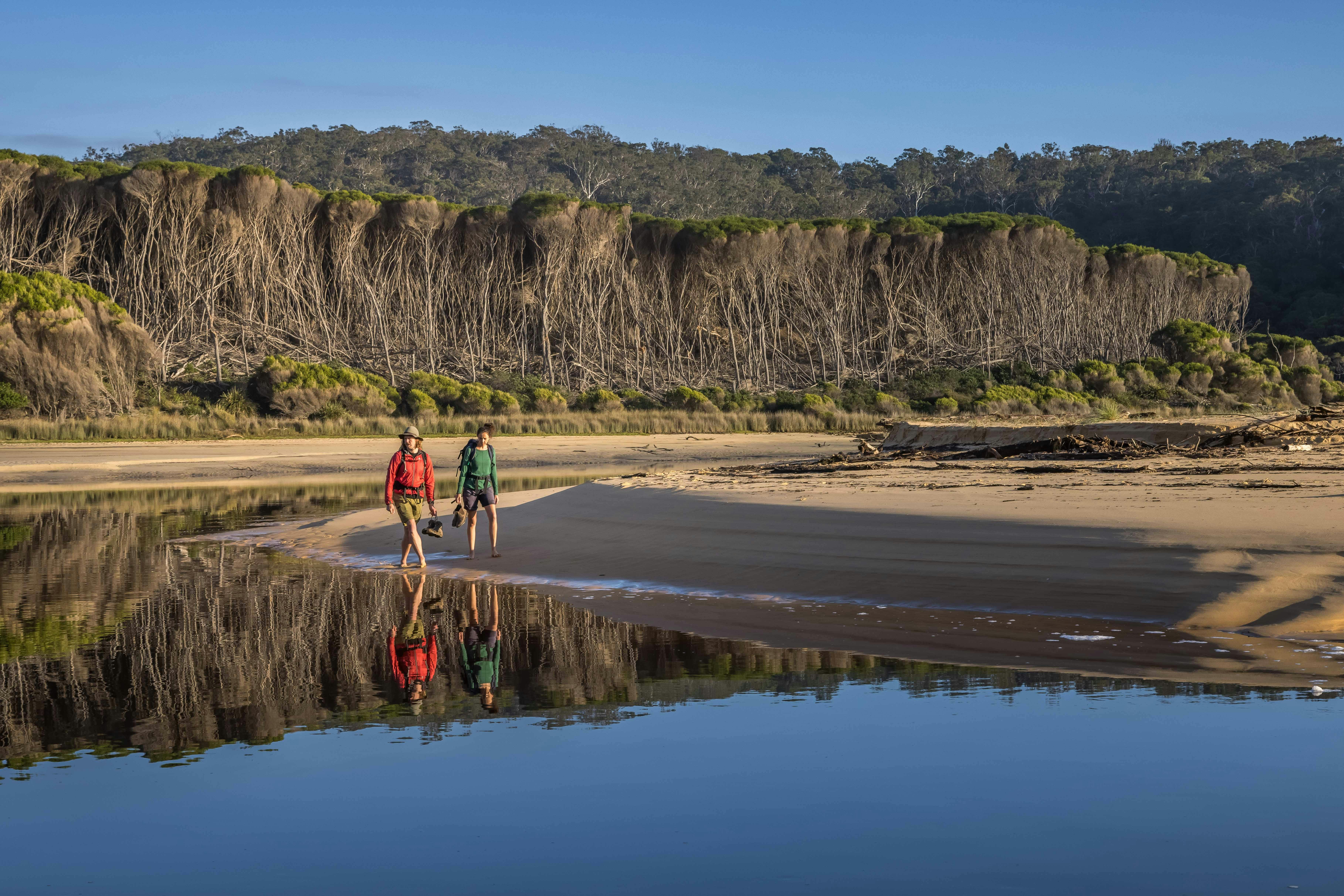 A couple walking along the reflective waters of a tea tree lined lagoon on the Wharf to Wharf Walk