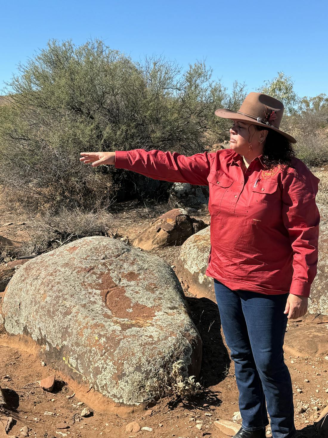 Dingly Dell - Ancient Petroglyphs Tour - Blinman, Tour Service
