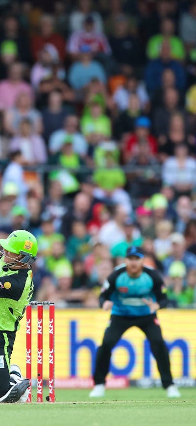 T20 superstar David Warner in action for Sydney Thunder at Manuka Oval