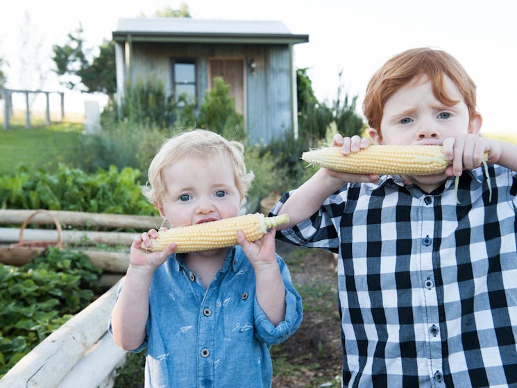 Rosby Guesthouse Veggie Garden. Kids, family, luxury accommodation. Mudgee