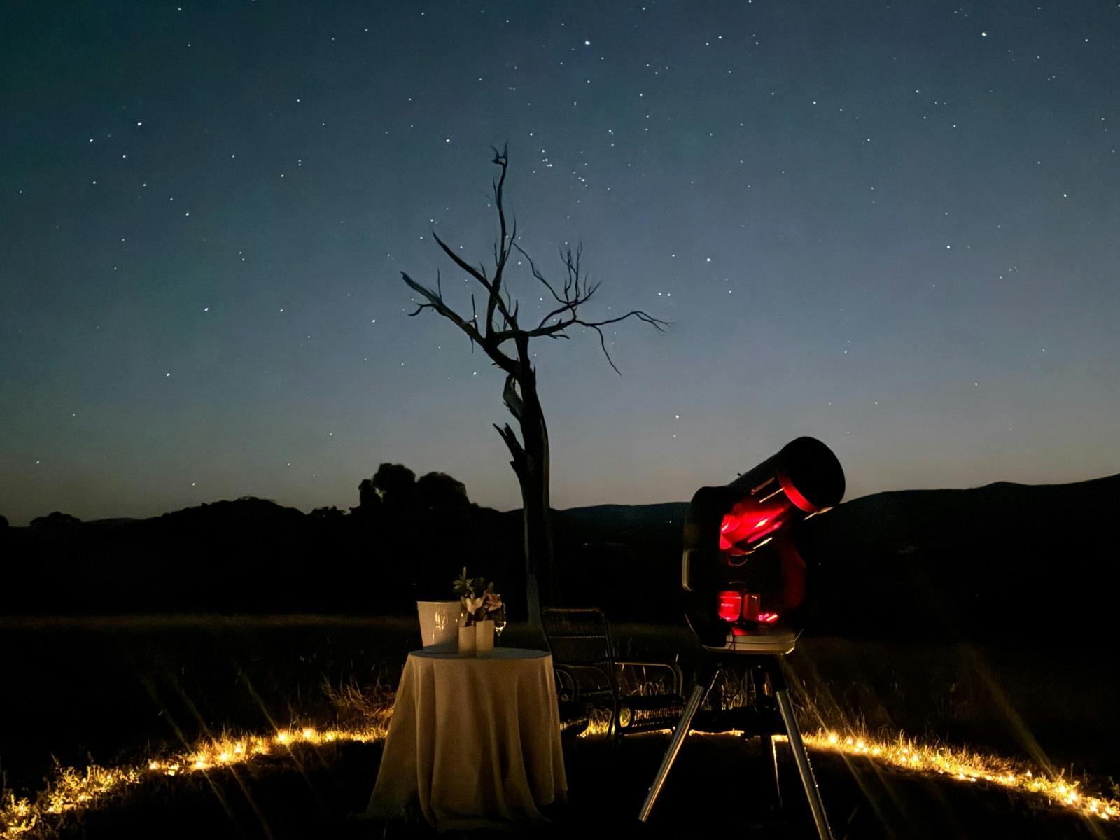 Discover the Wonders of the Night Sky