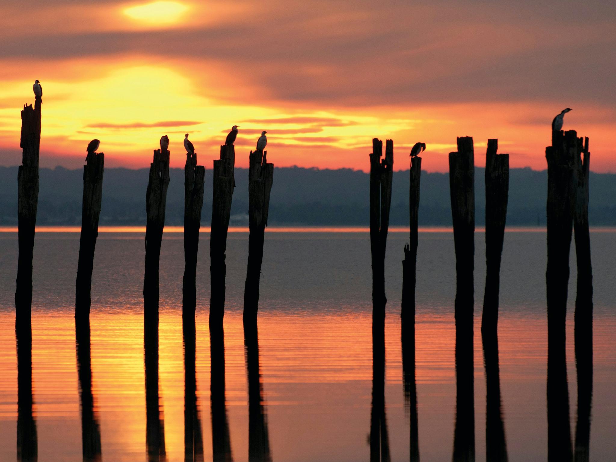 French Island National Park