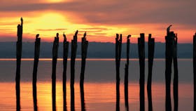 French Island National Park