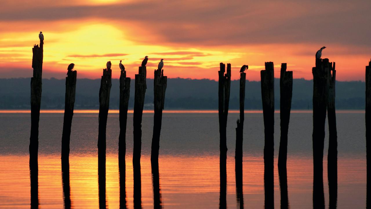 French Island National Park