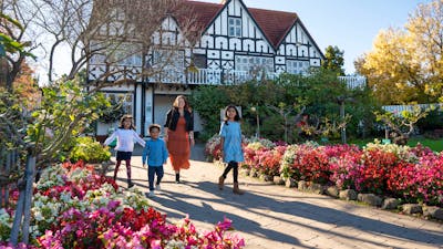 Family walks in front of a Tudor style architecture buidling
