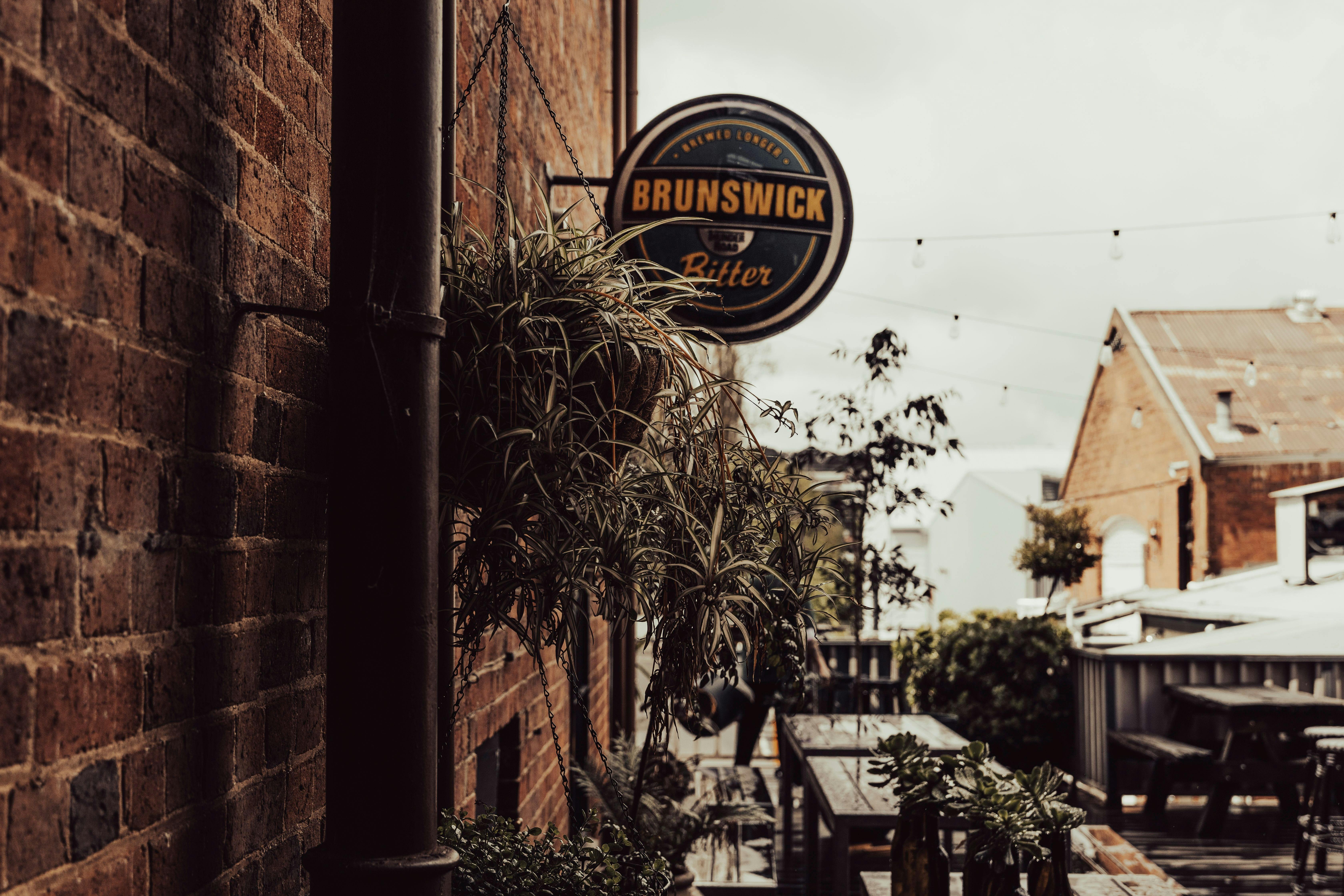 Looking south onto the back deck from the pub.