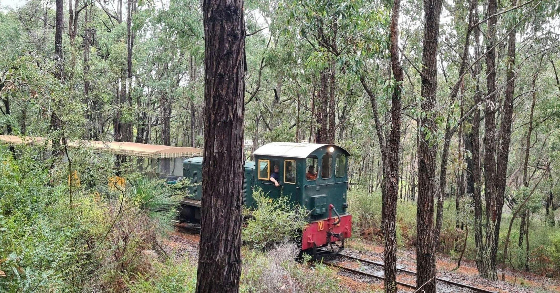 Forest Train