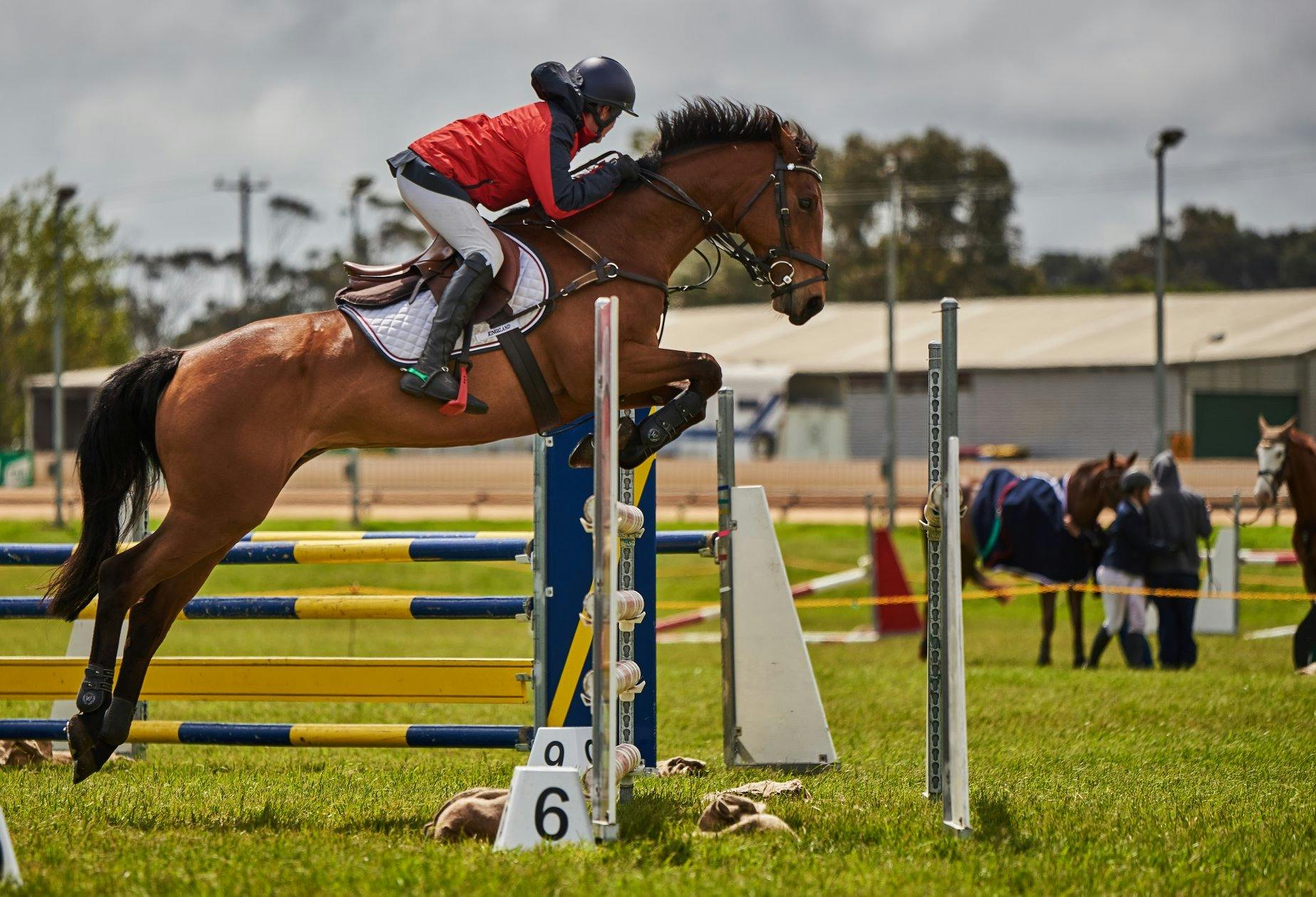 Enjoy three days of show Jumping Events, Friday to Sunday.