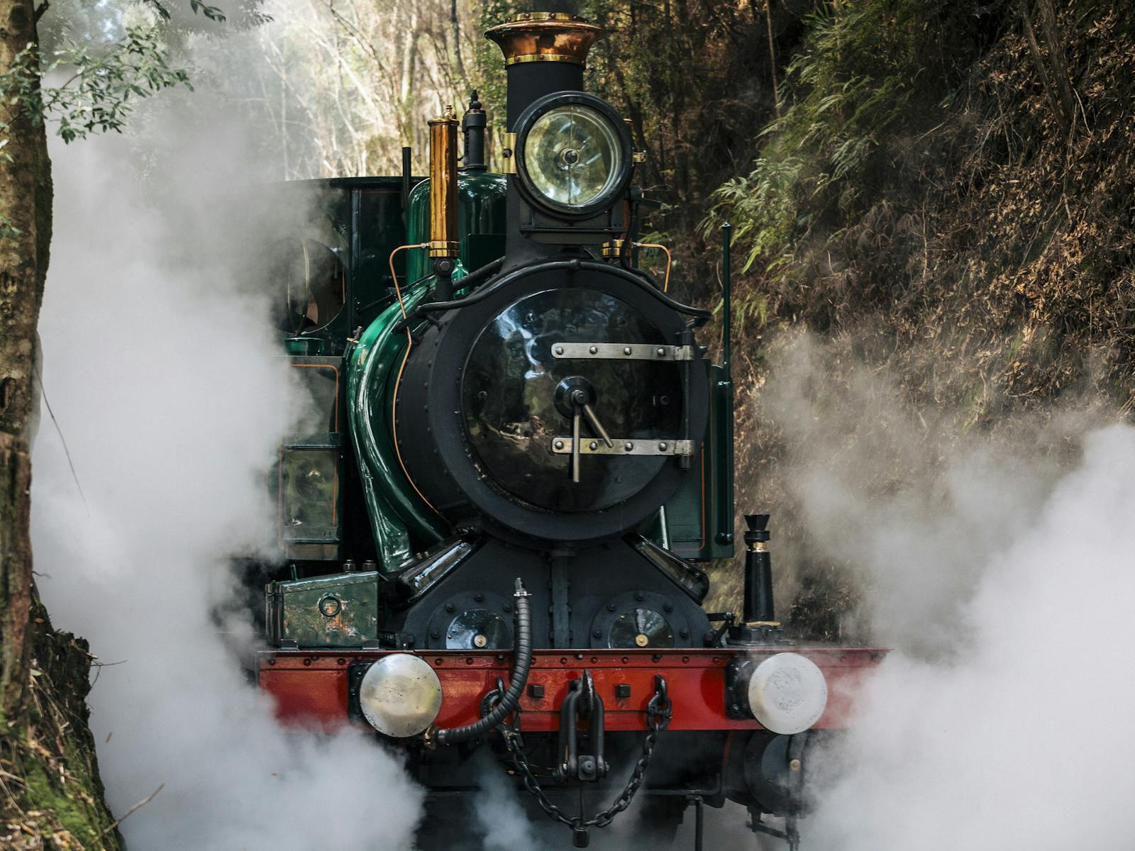 Steam locomotive lets off steam