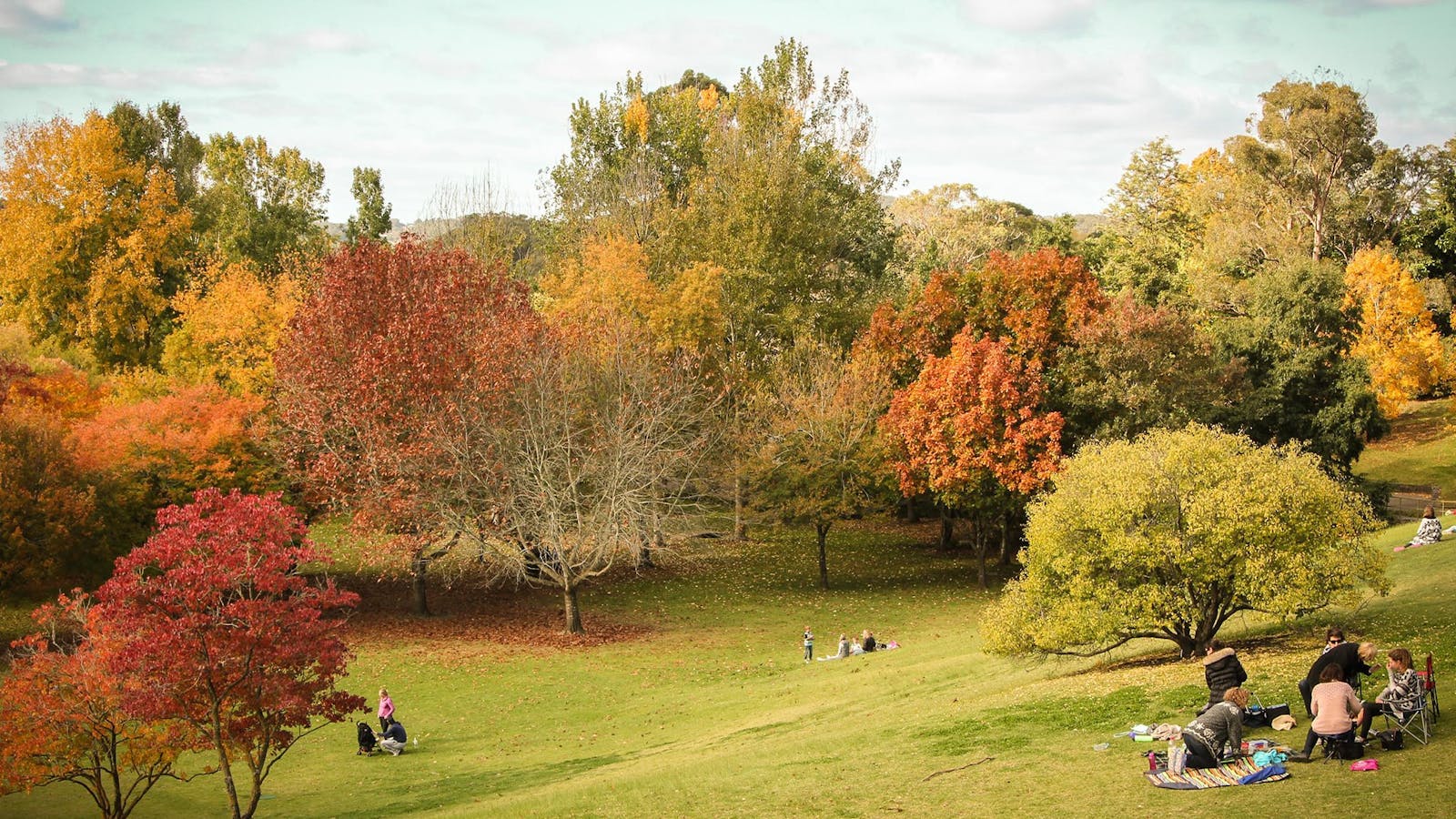 Mount Lofty Botanic Garden