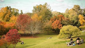Mount Lofty Botanic Garden in autumn is one of the Adelaide Hills' most iconic sights.