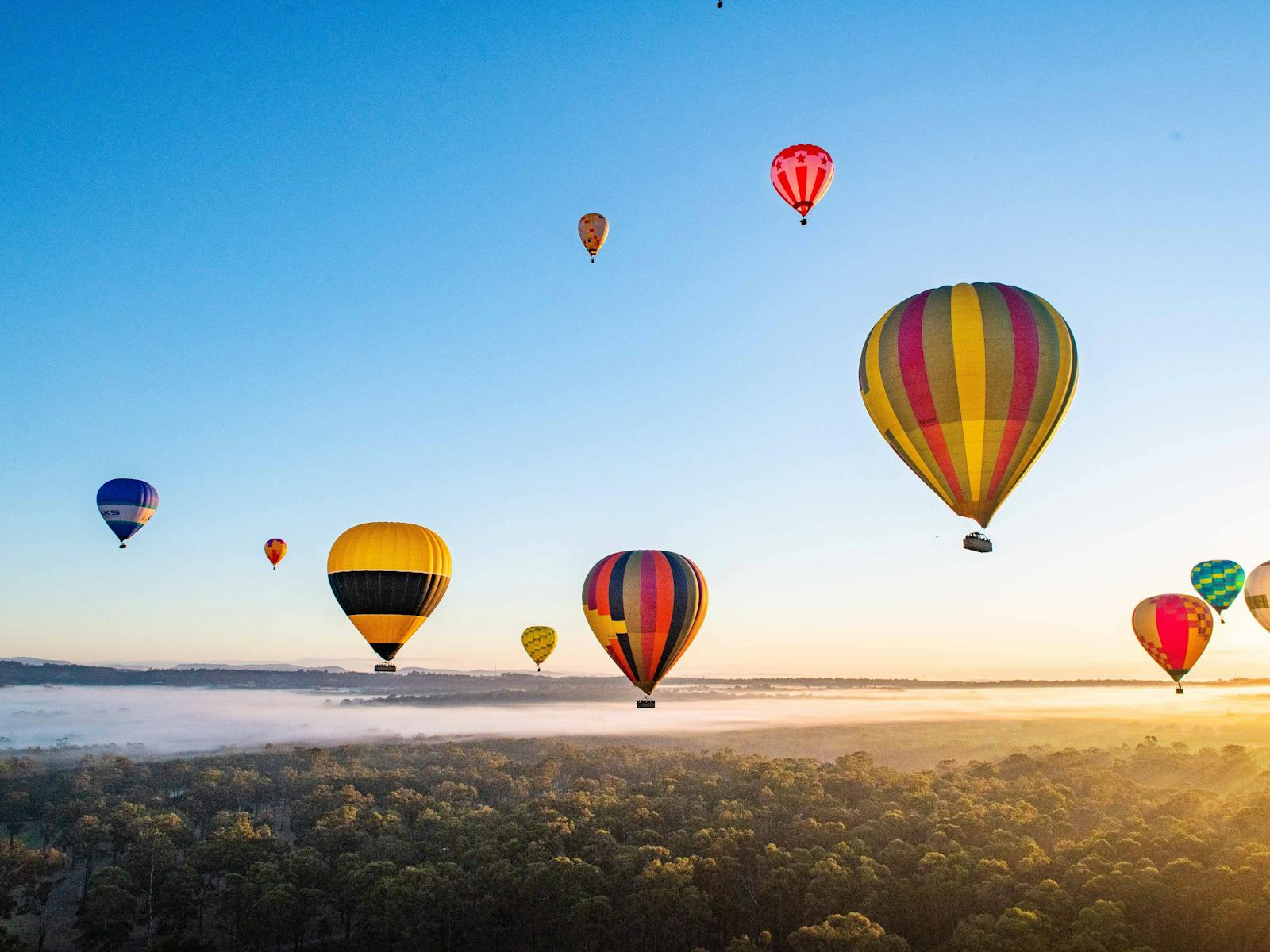 Image for Mudgee Hot Air Ballooning Festival