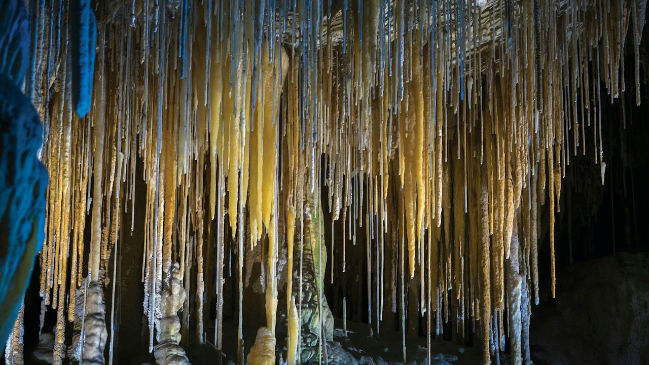 Hastings Cave
