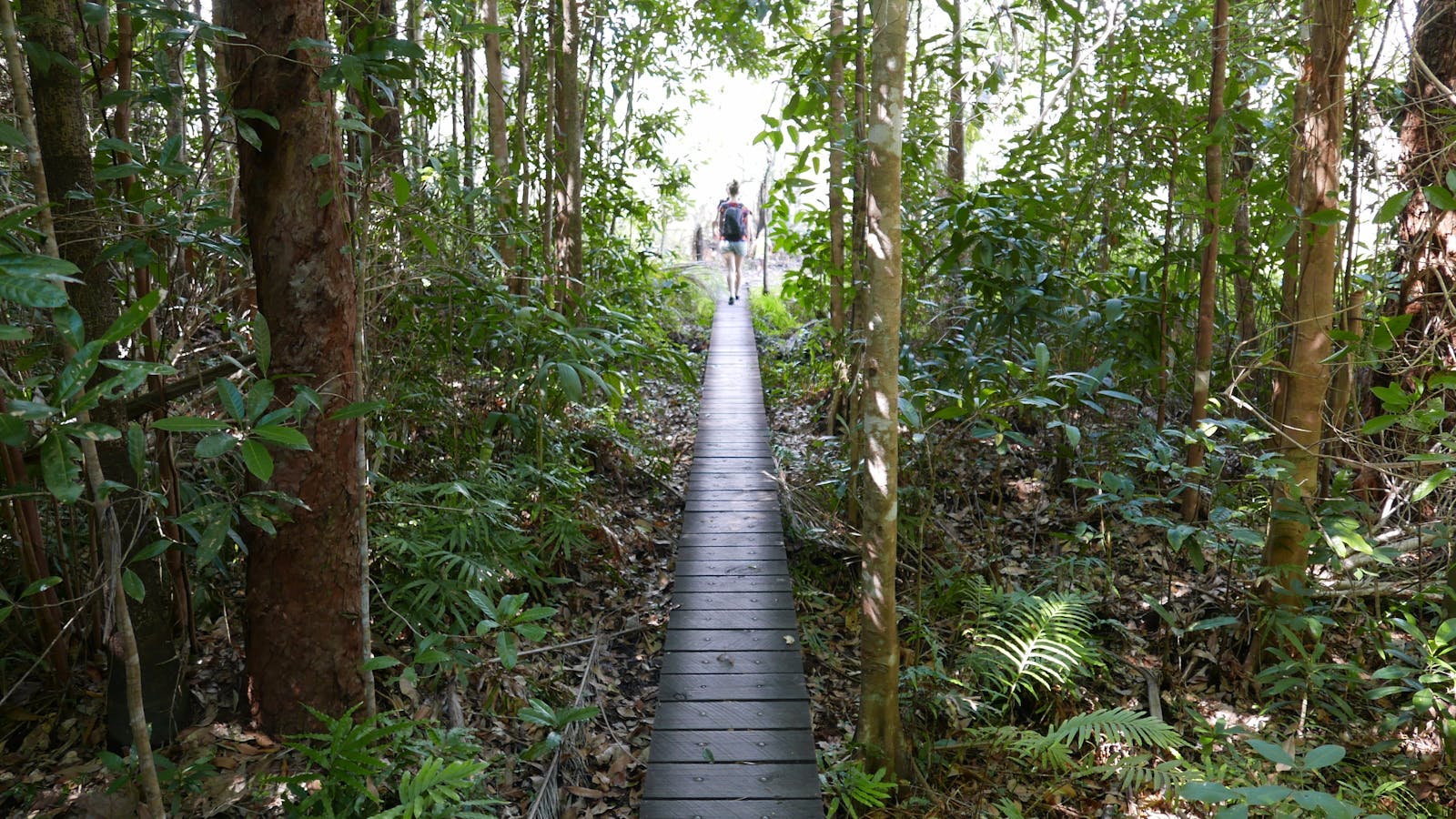 Walker Creek