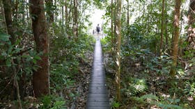 Walker Creek walk