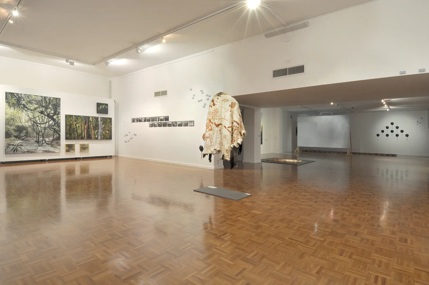 Open gallery space with indigenous animal skin cape hanging from ceiling and forest scene paintings