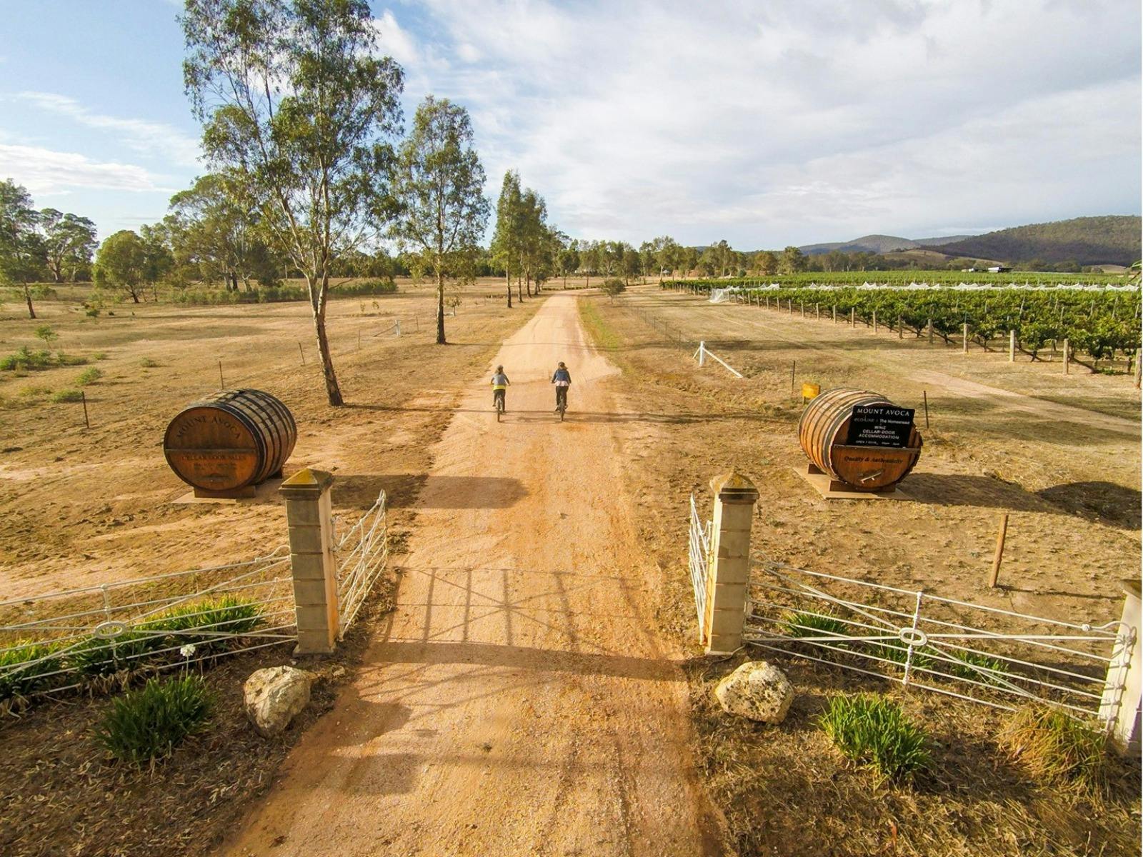 Mount Avoca Winery