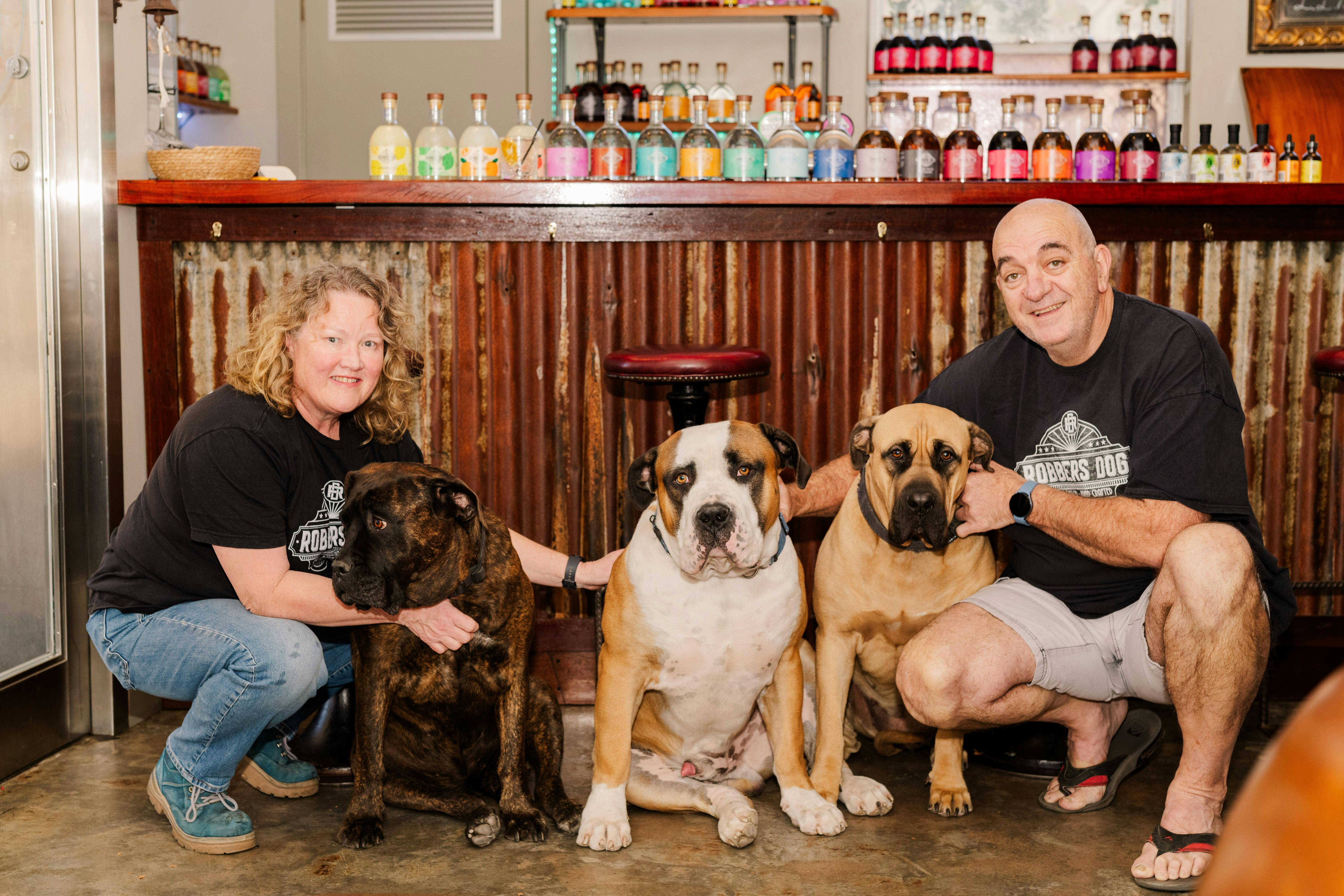 Dog friendly bar - Robbers Dog Bar