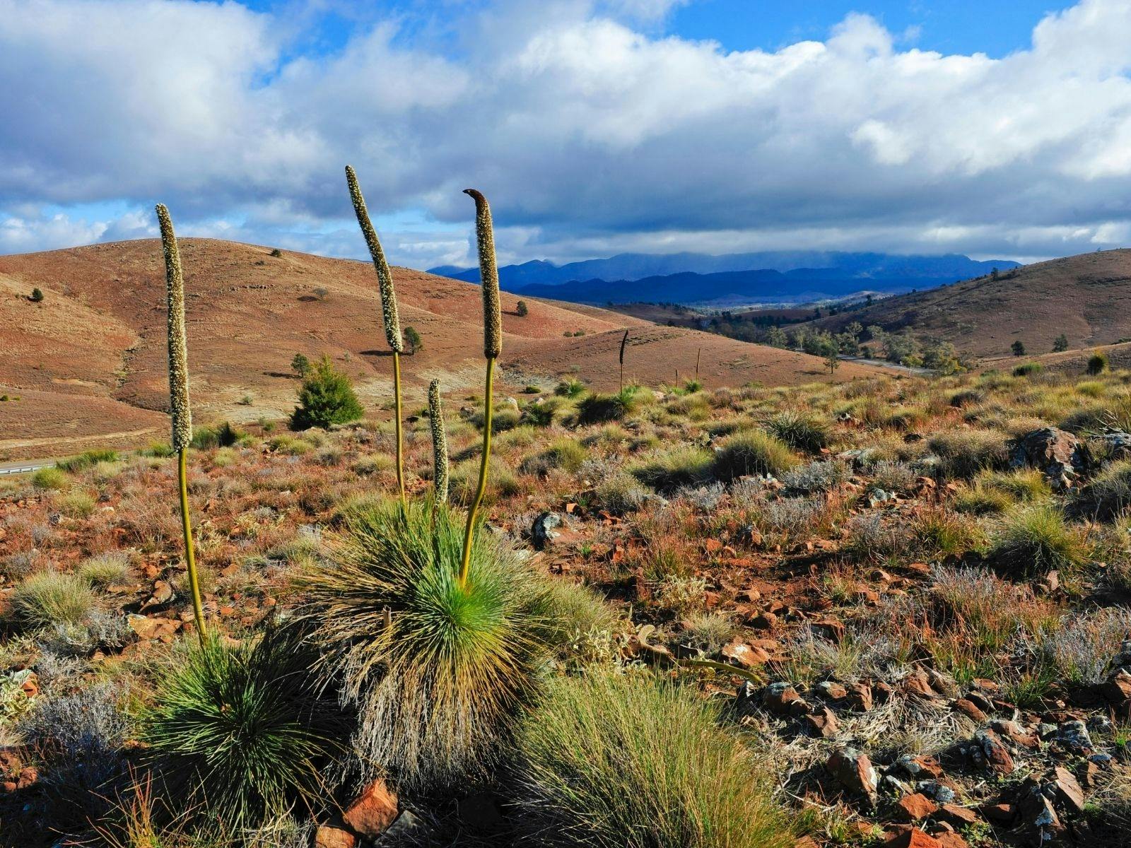 Outback Spirit Tours – South Australia Slider Image 6