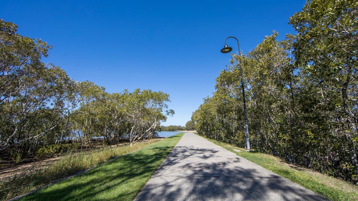 Wide, flat walking path with mangroves and water ahead
