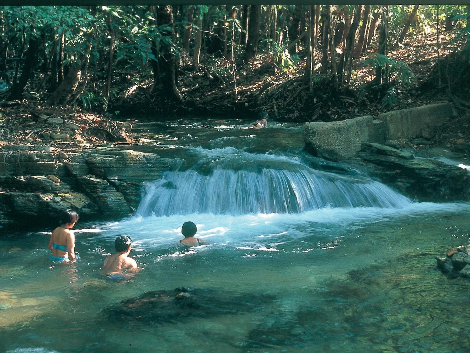 Berry Springs