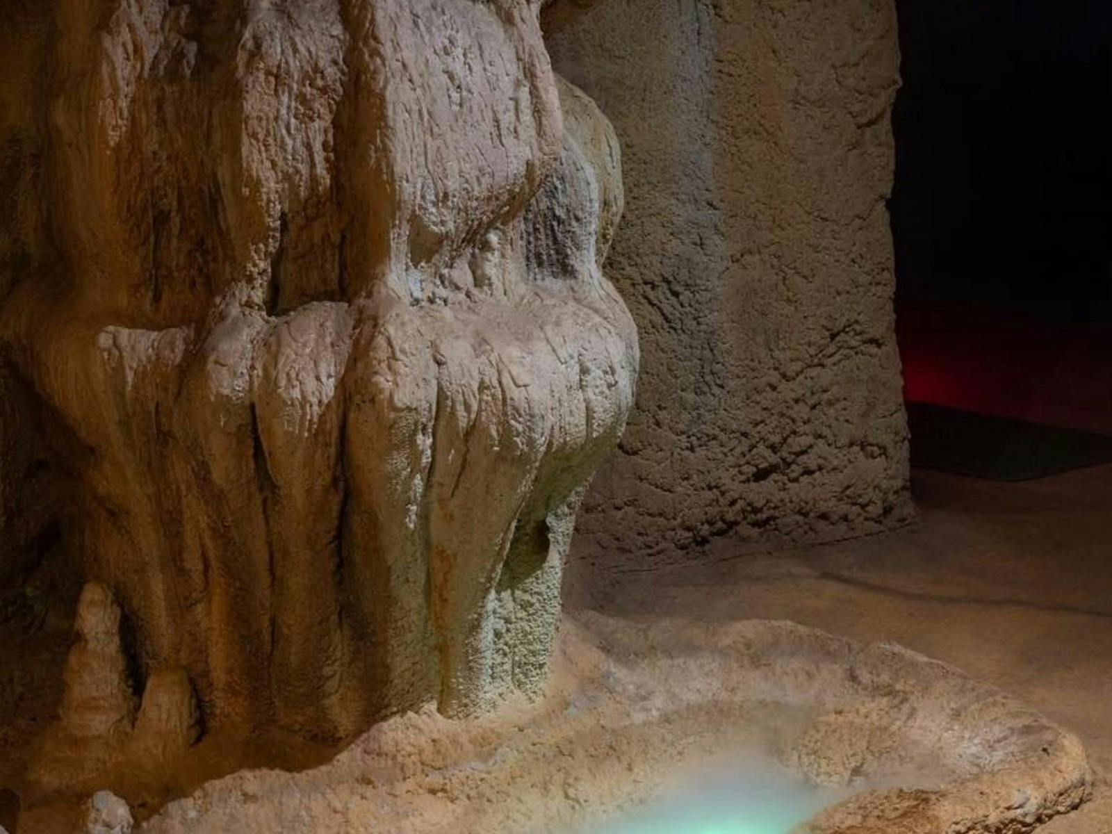 Mount Tamborine Vines, Views & Glow Worms