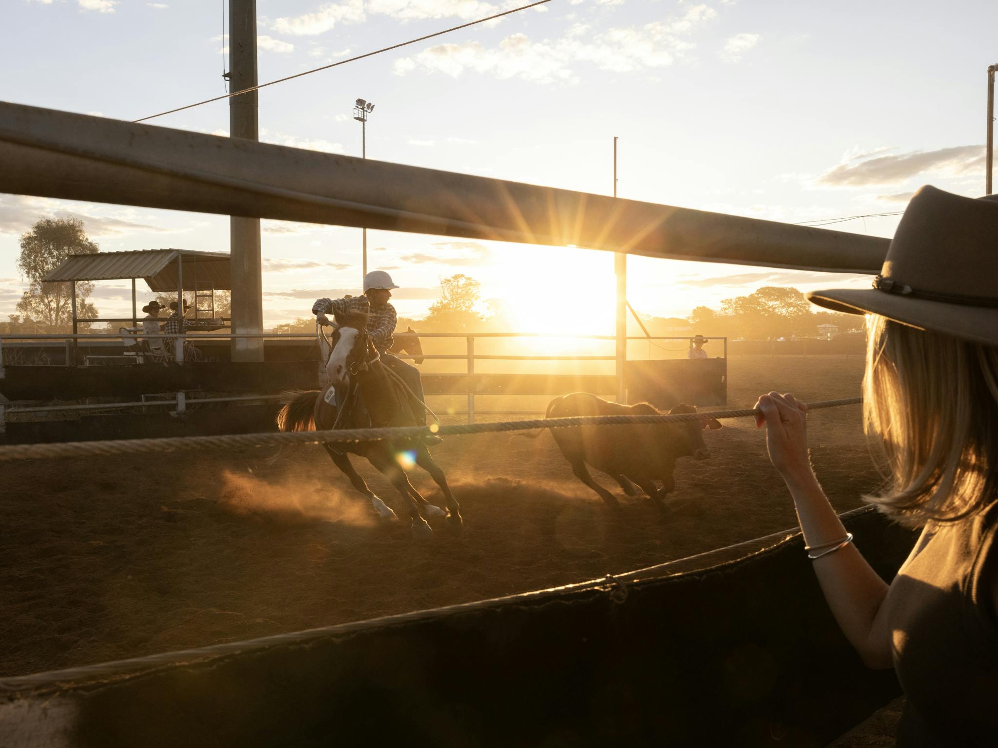 Girl watching horse and rider chase cattle Girl watching horse and rider chase cattle