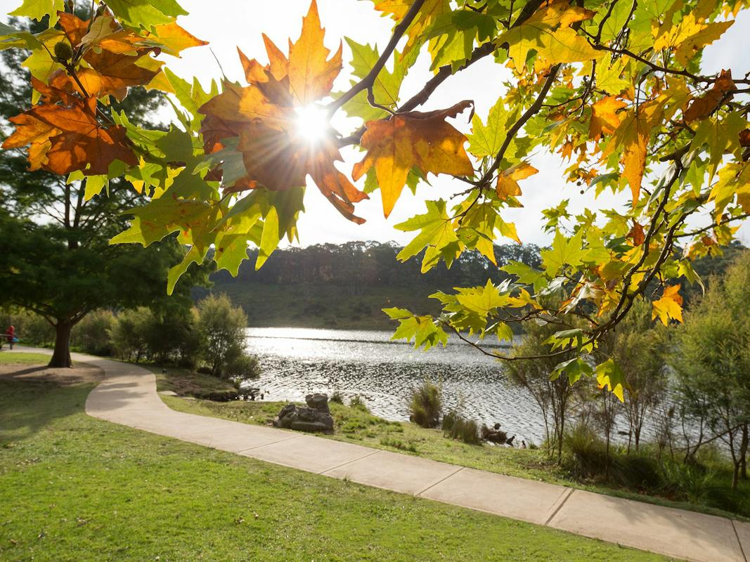 Wentworth Falls Lake Park