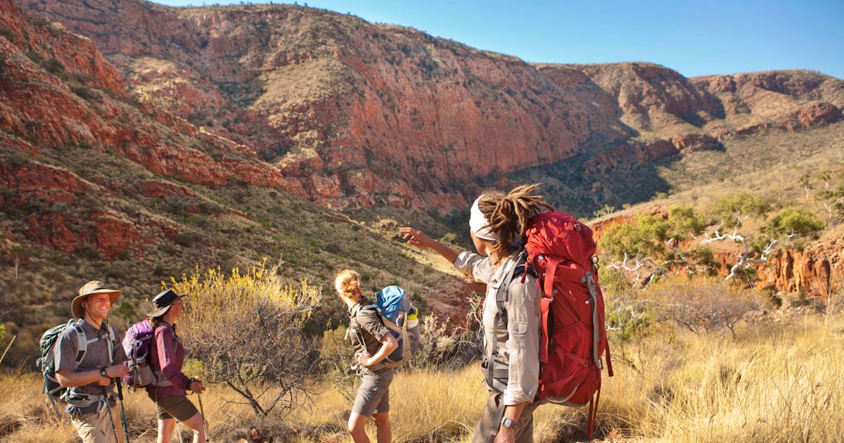 Image result for larapinta trail