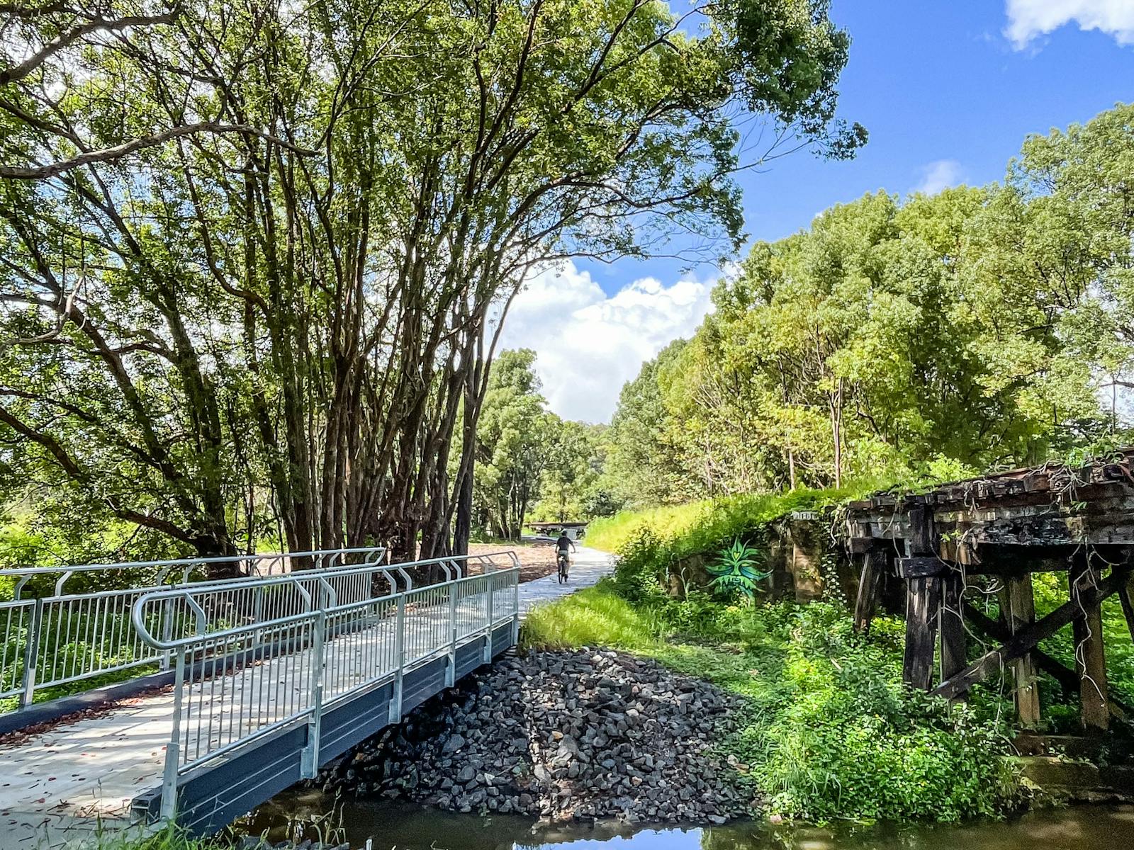A shot of an old railway bridge and the new Northern Rivers Rail Trail next to it at Crabbes Creek