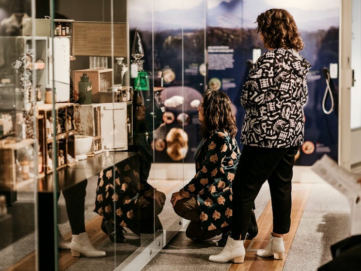 Visitors looking at exhibition