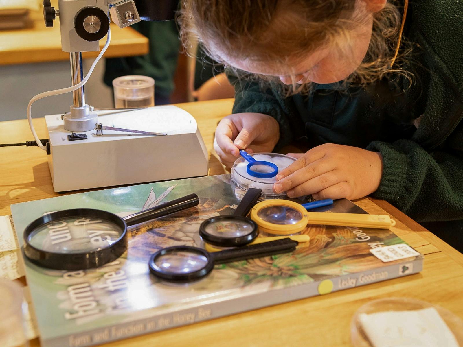 Kids Bee Workshops at Bee School