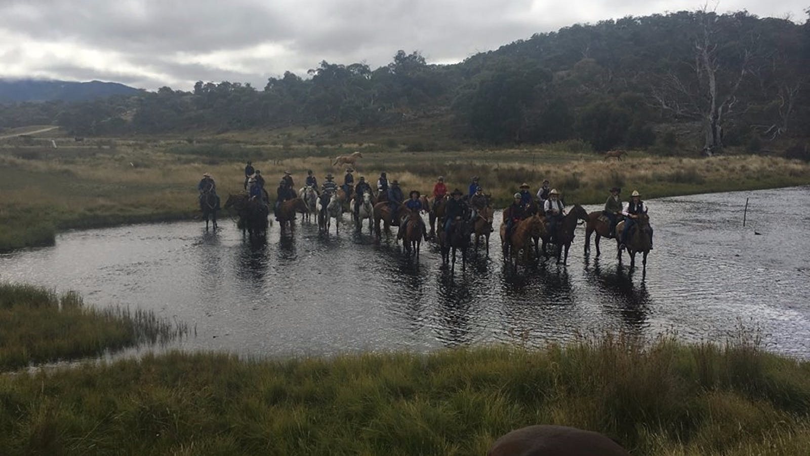 Cochran Horse Treks