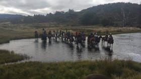 Cochran Horse Treks