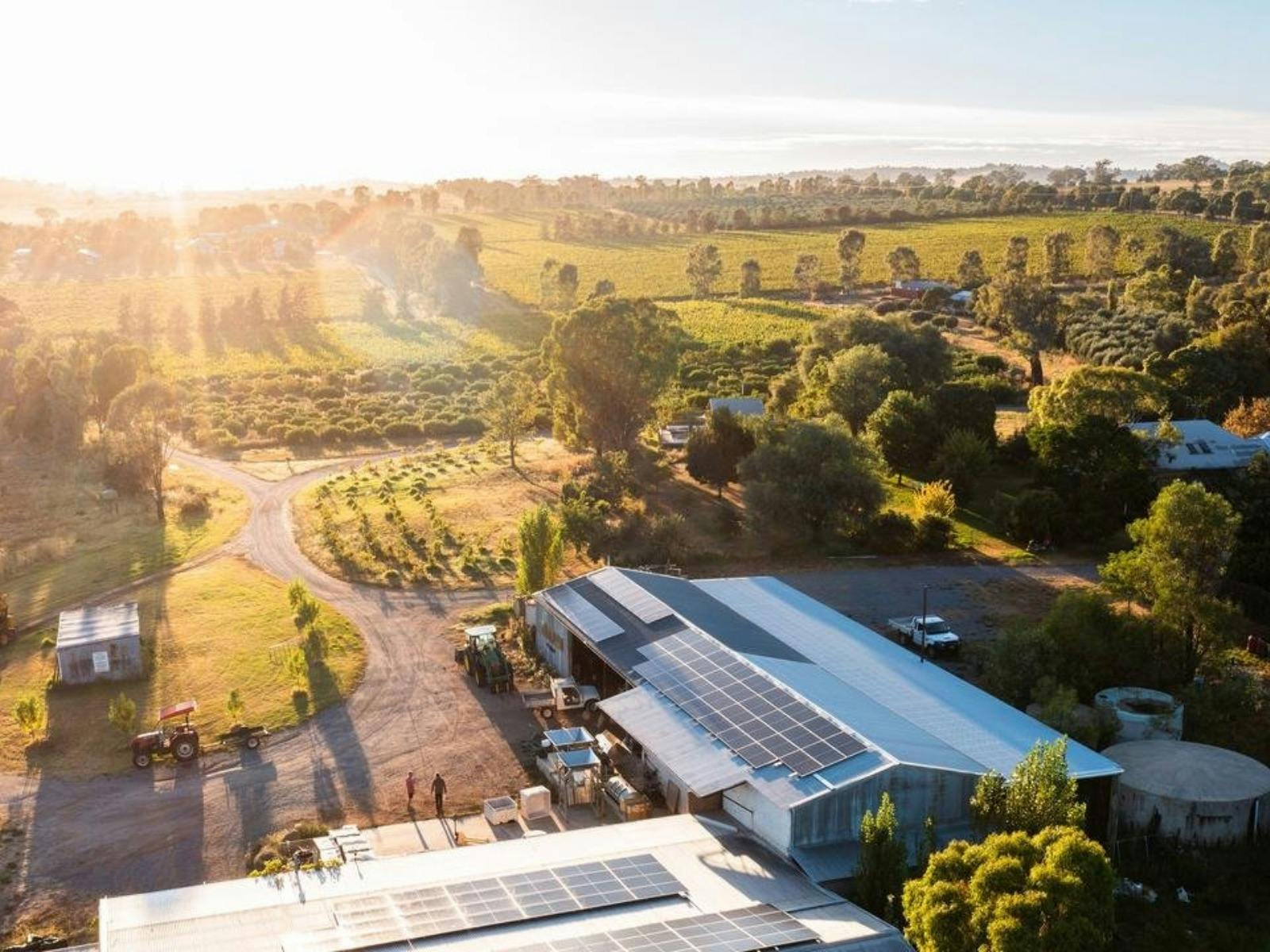 Rosnay Organic Farm and Vineyard Cellar Door edit