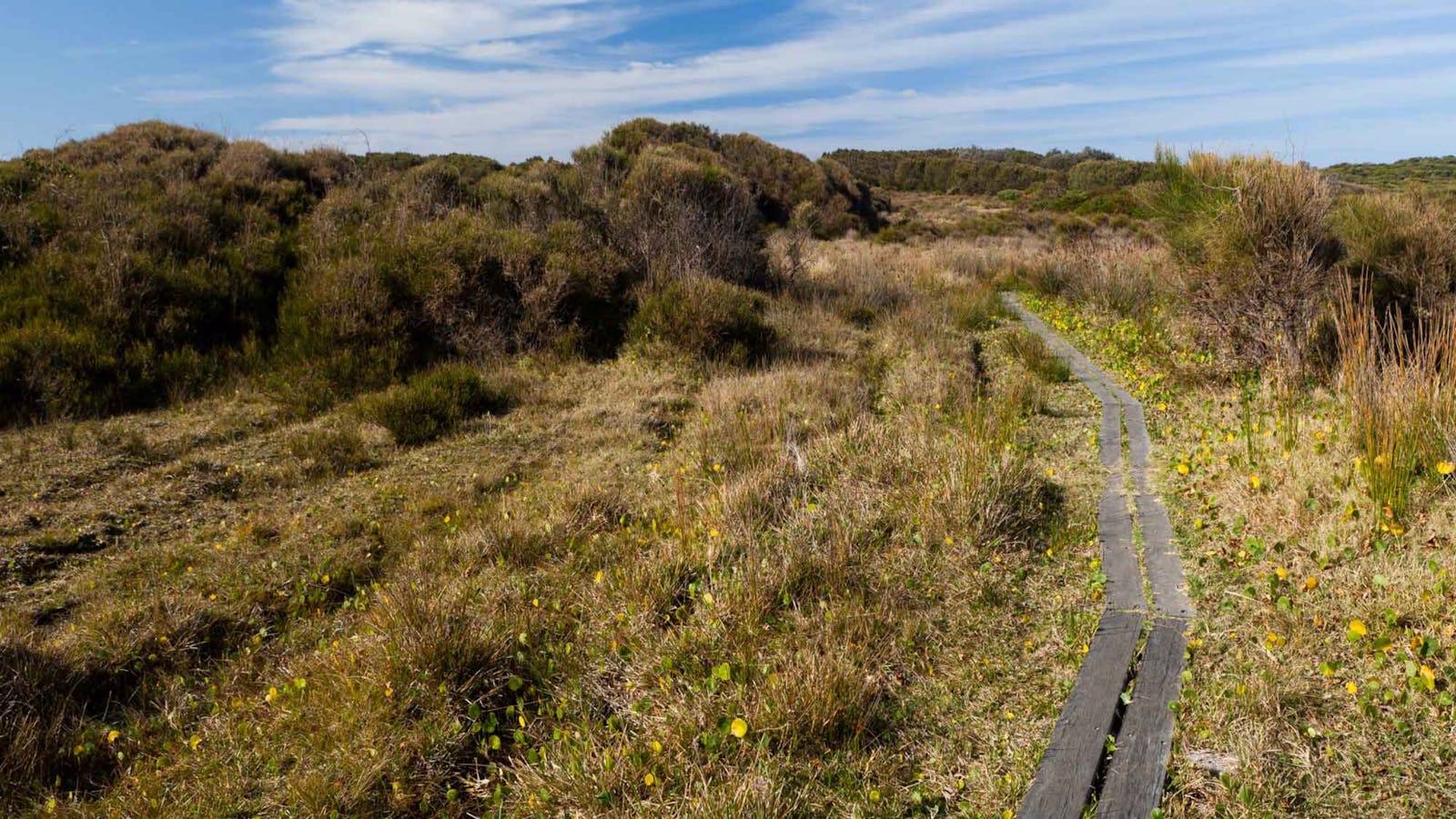 Murramarang Aboriginal Area Walking Track