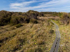 Murramarang Aboriginal Area Walking Track