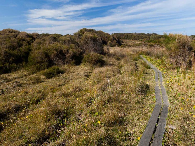 Murramarang Aboriginal Area. Photo: Lucas Boyd Photography