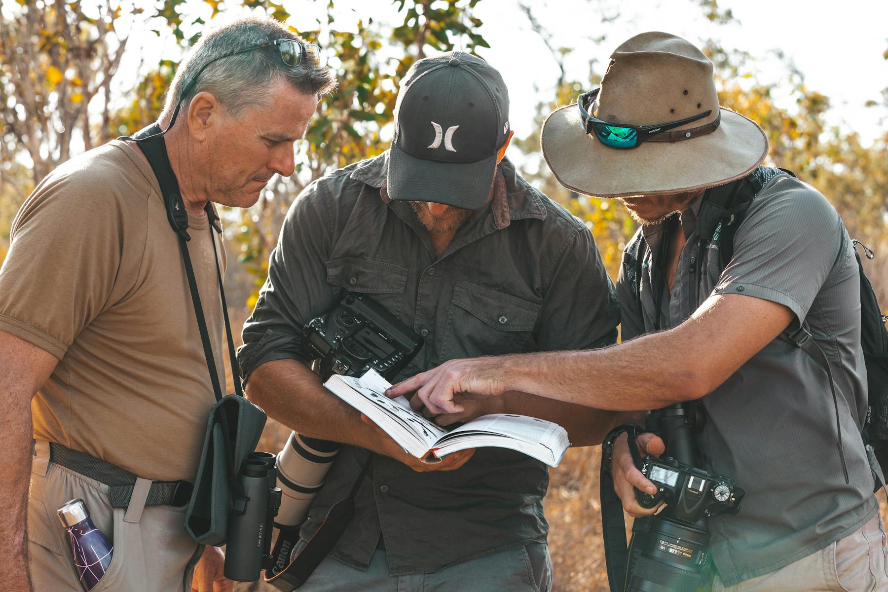 FNQ Nature Tours