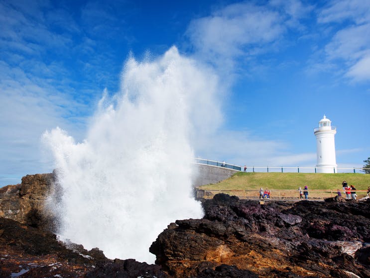 Kiama Blowhole - Kiama | VisitNSW.com