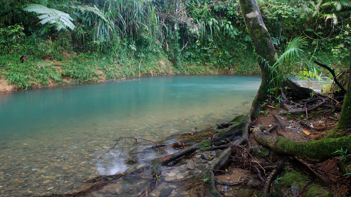 Heritage Lodge and Spa - In the Daintree