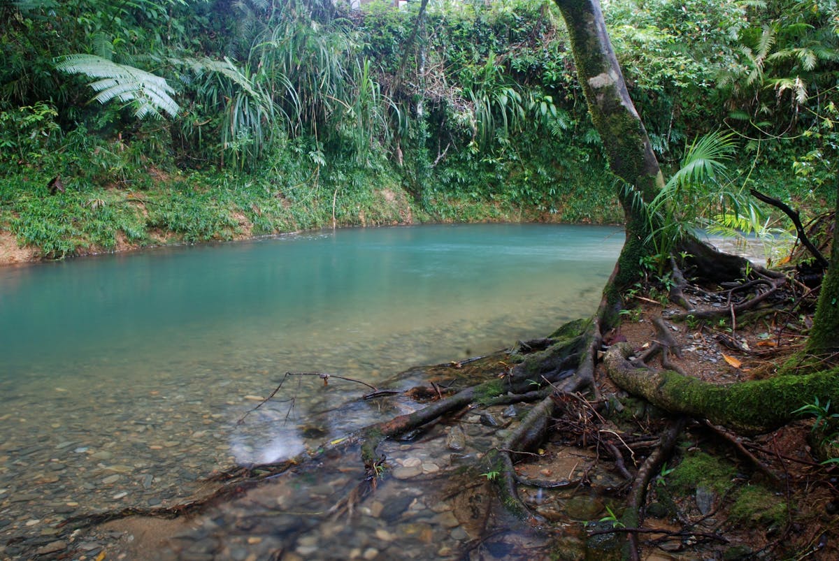 Heritage Lodge and Spa - In the Daintree