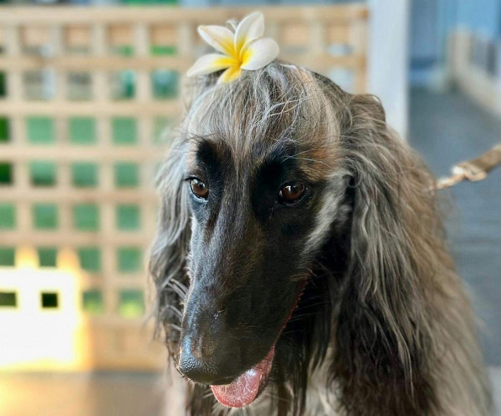 BabaG 咖啡厅和美容沙龙