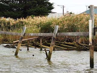 Goolwa Boating Cruises