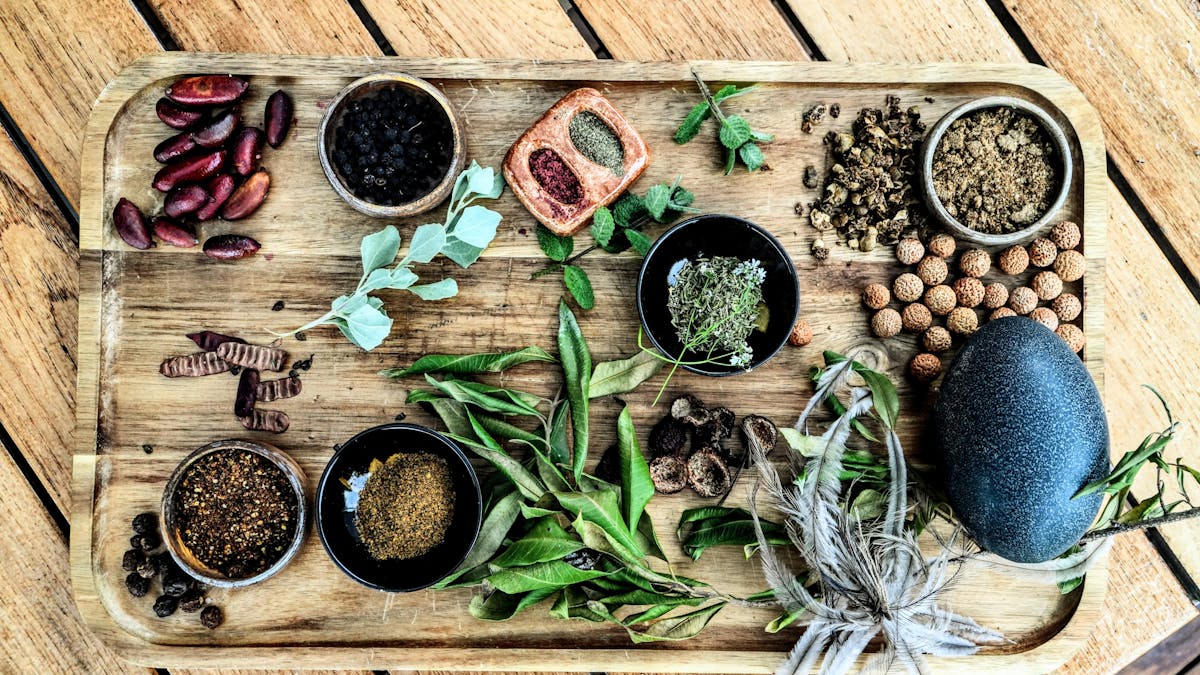 Bush Tucker class
