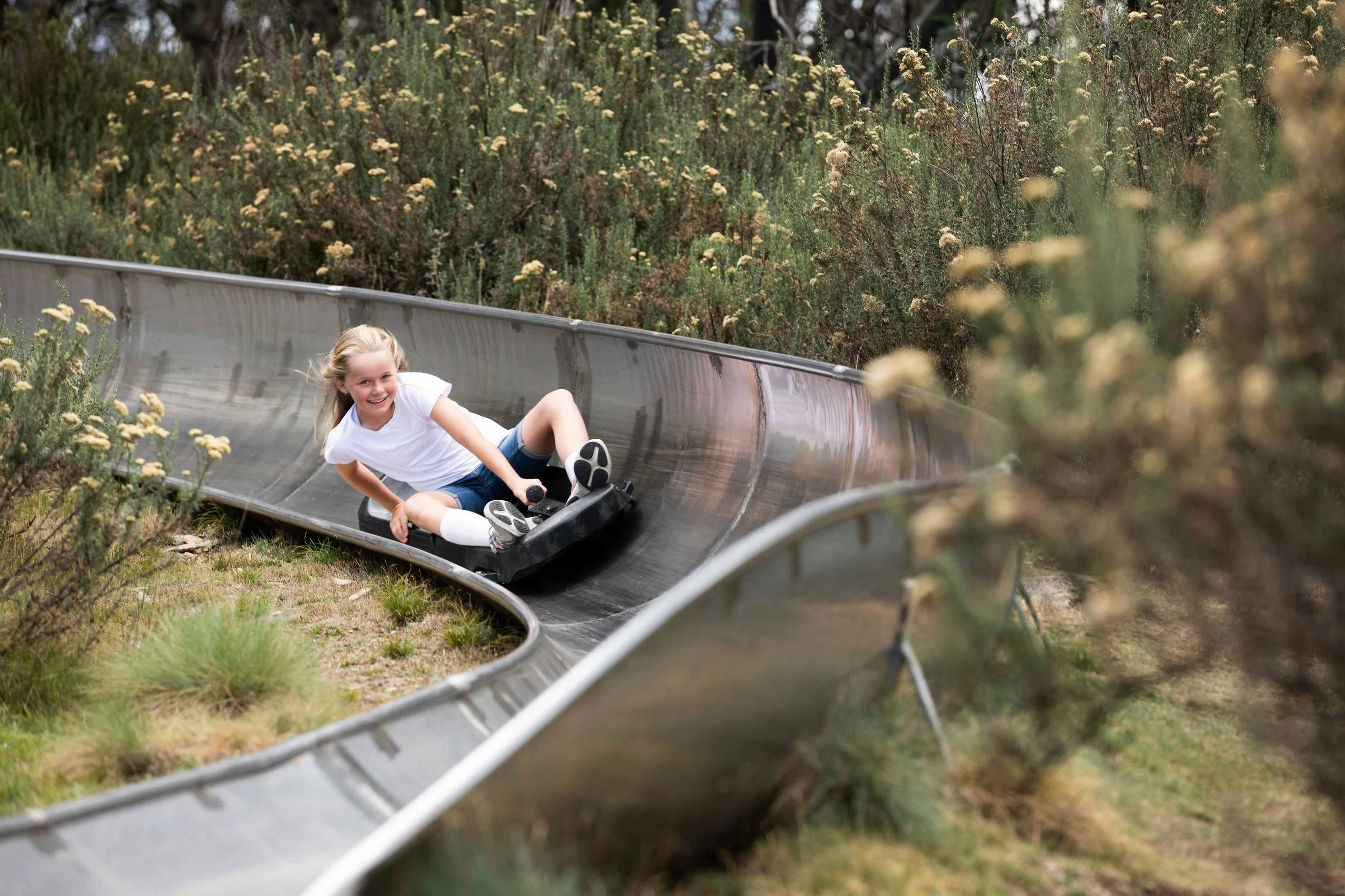 Alpine Bobsled Thredbo