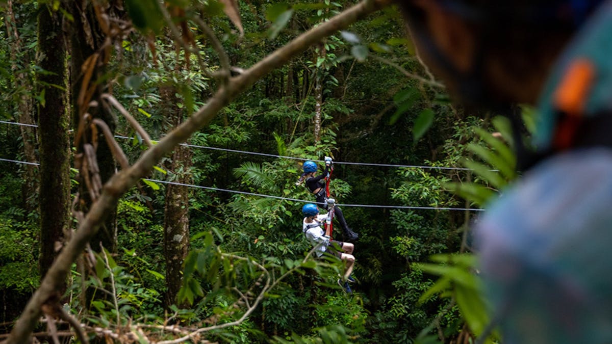 Dual Zipline