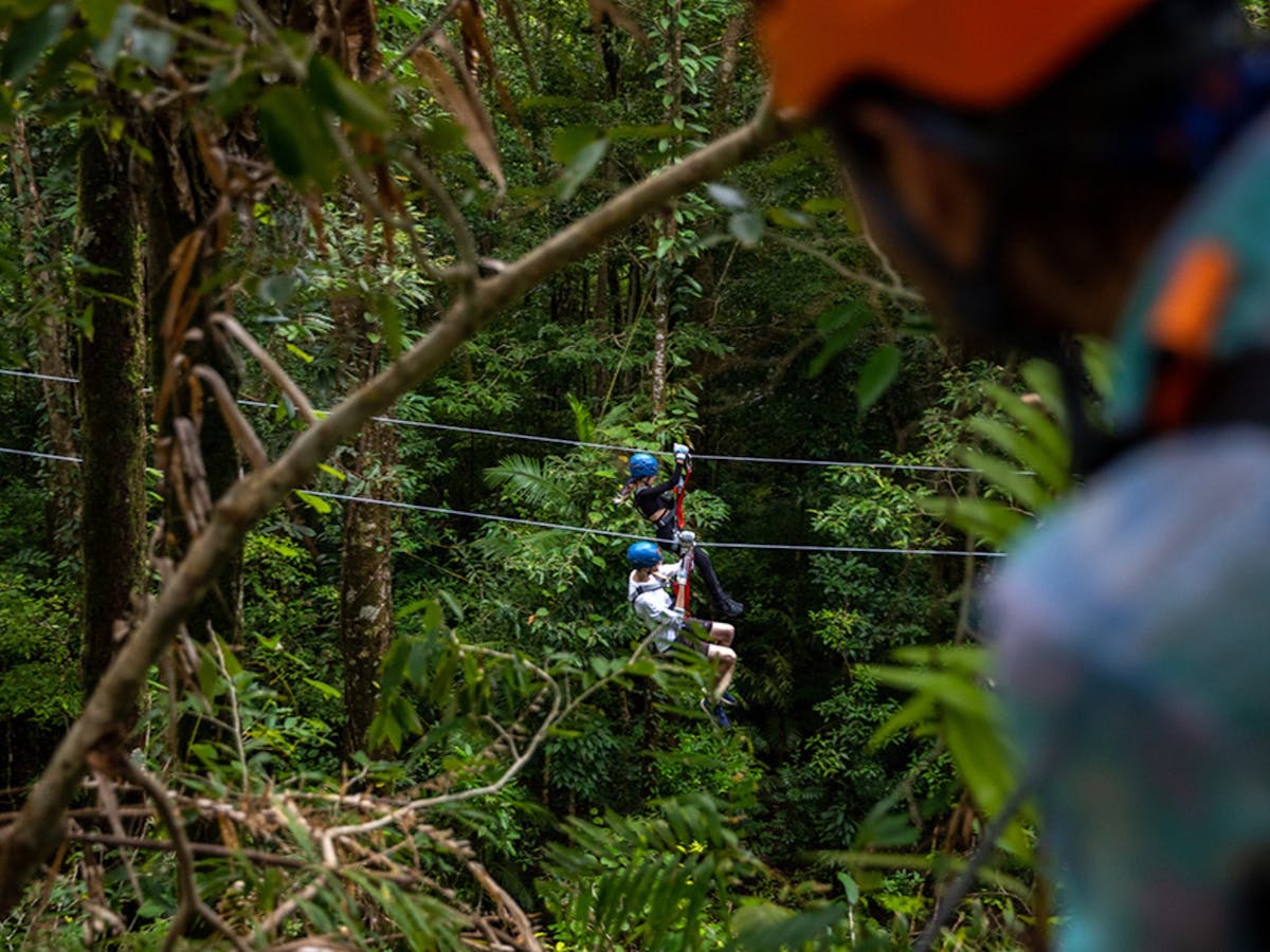 Dual Zipline