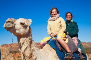 Pyndan Camel Tracks