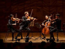 The Affinity String Quartet at the Adelonia Theatre